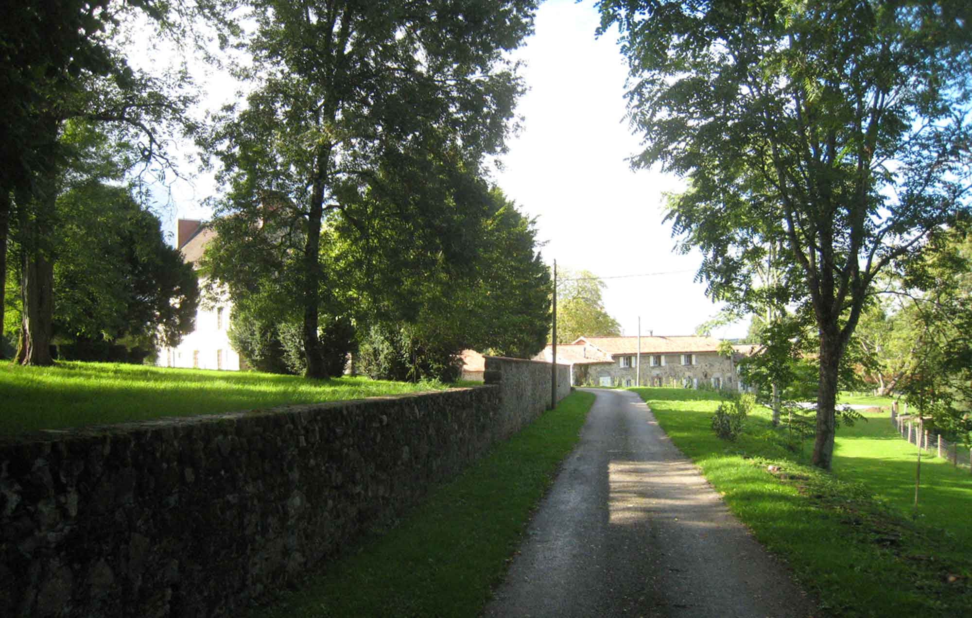 Photo du chemin qui mène au gîte